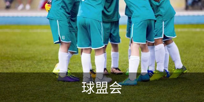 了解球盟会